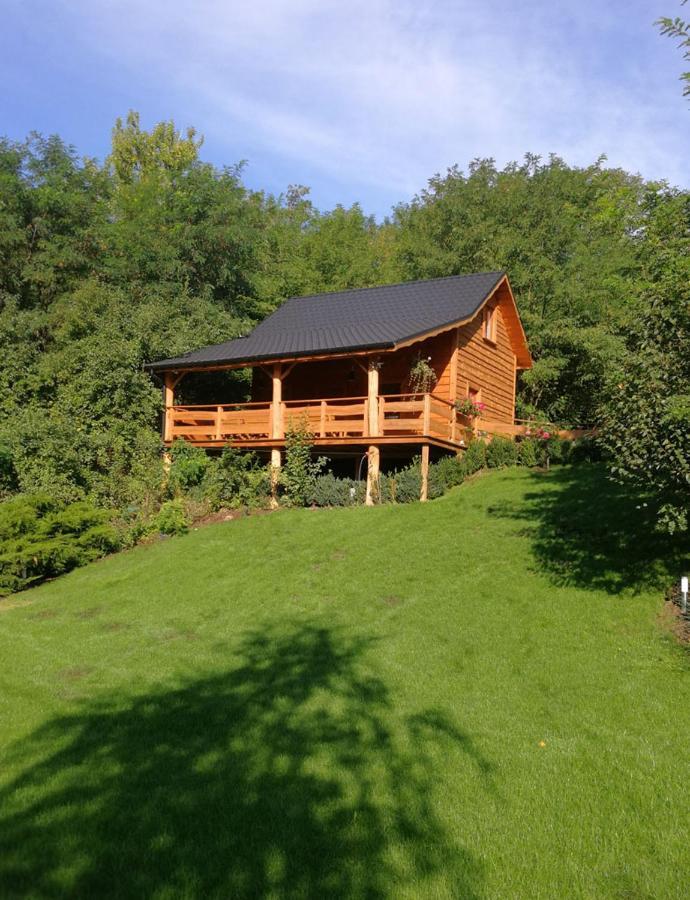 Ślesin Villa Eden מראה חיצוני תמונה