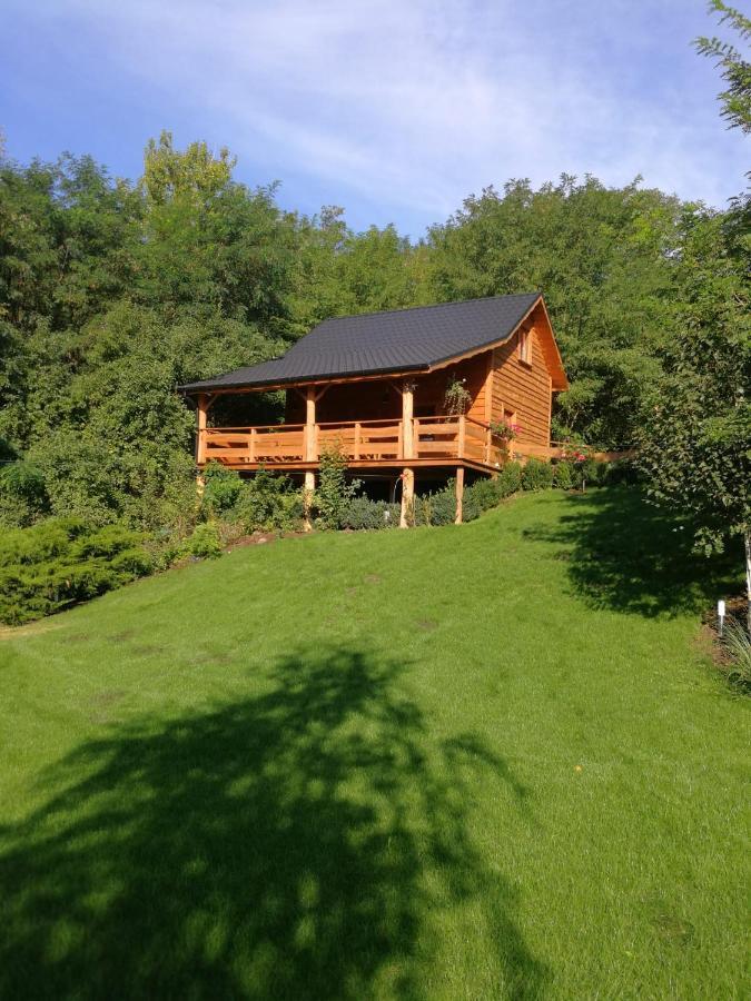 Ślesin Villa Eden מראה חיצוני תמונה