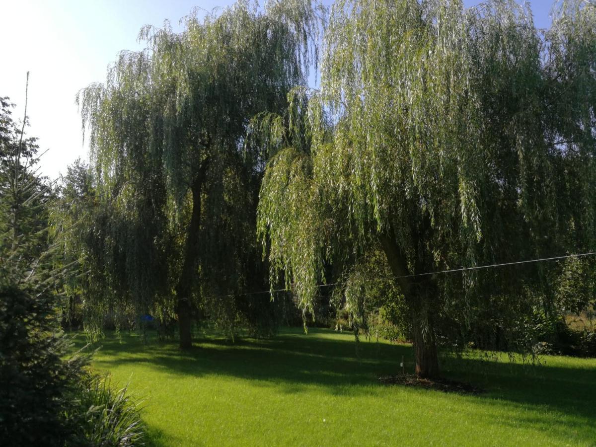 Ślesin Villa Eden מראה חיצוני תמונה